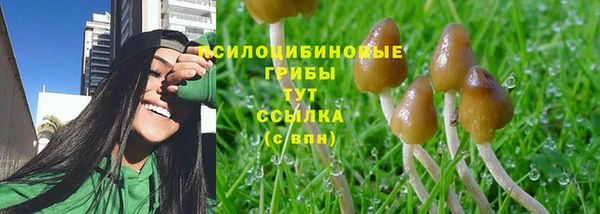 дурь Бронницы