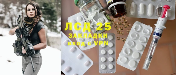прущий лед Бородино